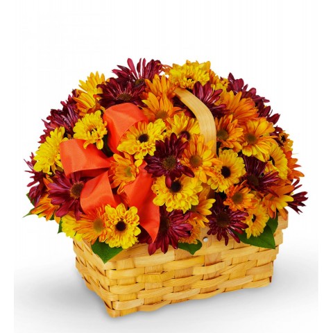 Basket of Daisies